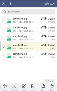 Scrnsht04